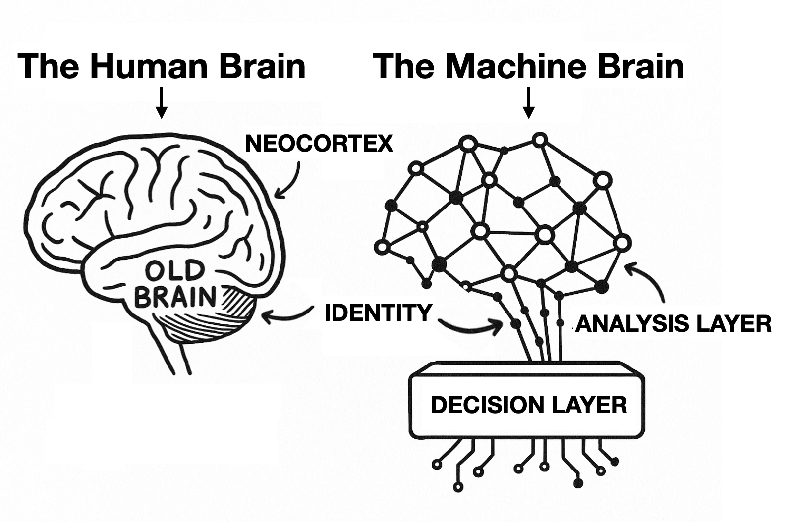 Why Intelligence Needs a Machine Brain